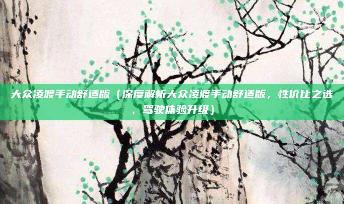 大众凌渡手动舒适版（深度解析大众凌渡手动舒适版，性价比之选，驾驶体验升级）