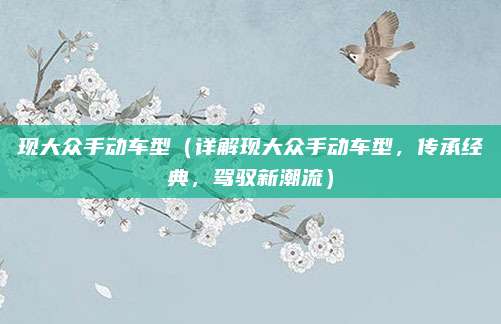 现大众手动车型（详解现大众手动车型，传承经典，驾驭新潮流）