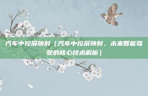 汽车中控屏映射(汽车中控屏映射,未来智能驾驶的核心技术解析)