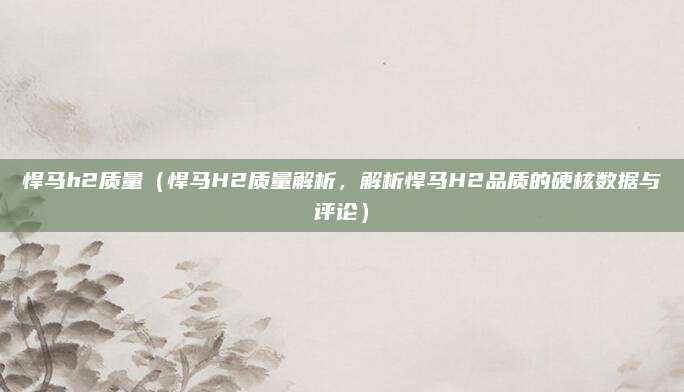 悍马h2质量(悍马H2质量解析,解析悍马H2品质的硬核数据与评论)