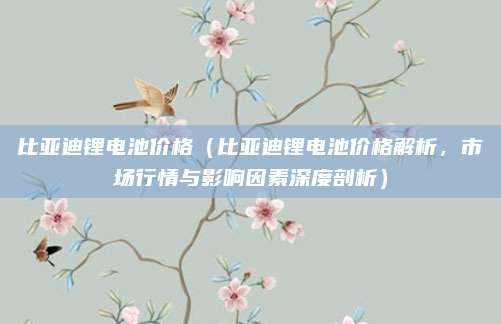 比亚迪锂电池价格（比亚迪锂电池价格解析，市场行情与影响因素深度剖析）