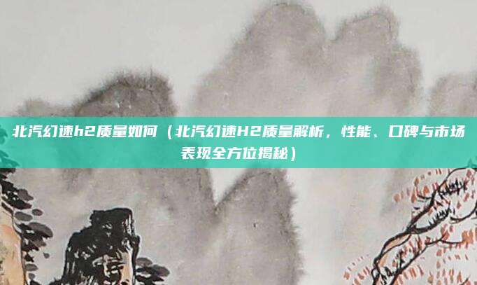 北汽幻速h2质量如何(北汽幻速H2质量解析,性能、口碑与市场表现全方位揭秘)