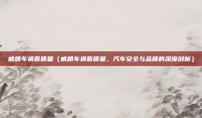 威朗车祸看质量(威朗车祸看质量,汽车安全与品质的深度剖析)