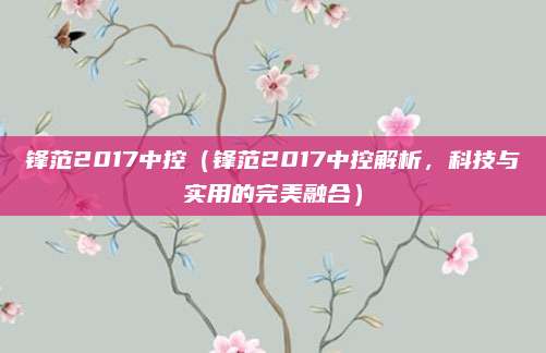 锋范2017中控(锋范2017中控解析,科技与实用的完美融合)