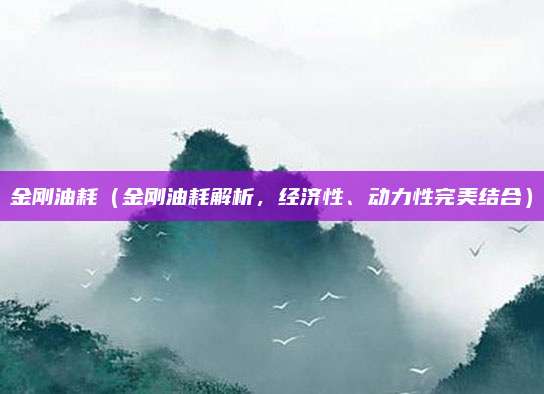金刚油耗（金刚油耗解析，经济性、动力性完美结合）