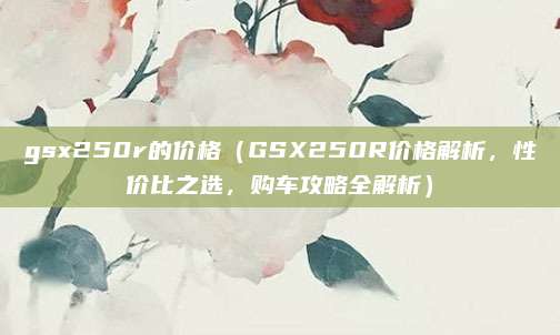 gsx250r的价格(GSX250R价格解析,性价比之选,购车攻略全解析)