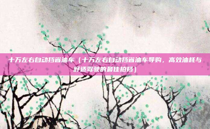 十万左右自动挡省油车(十万左右自动挡省油车导购,高效油耗与舒适驾驶的最佳拍档)