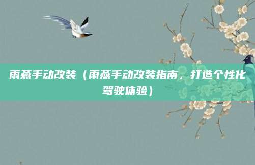 雨燕手动改装(雨燕手动改装指南,打造个性化驾驶体验)