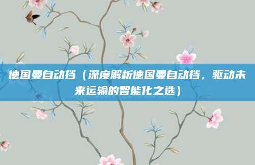 德国曼自动挡(深度解析德国曼自动挡,驱动未来运输的智能化之选)
