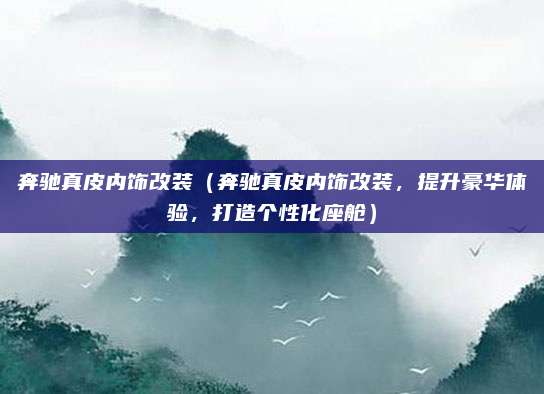 奔驰真皮内饰改装(奔驰真皮内饰改装,提升豪华体验,打造个性化座舱)