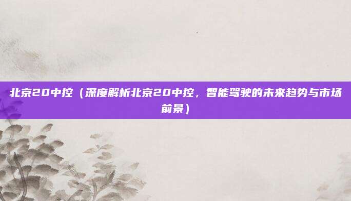 北京20中控(深度解析北京20中控,智能驾驶的未来趋势与市场前景)