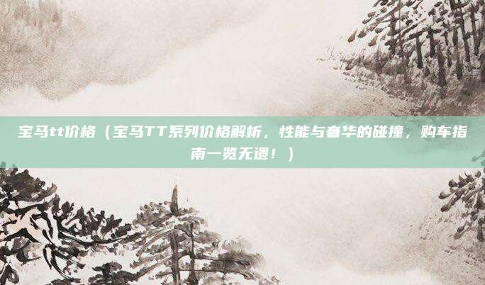 宝马tt价格(宝马TT系列价格解析,性能与奢华的碰撞,购车指南一览无遗!)