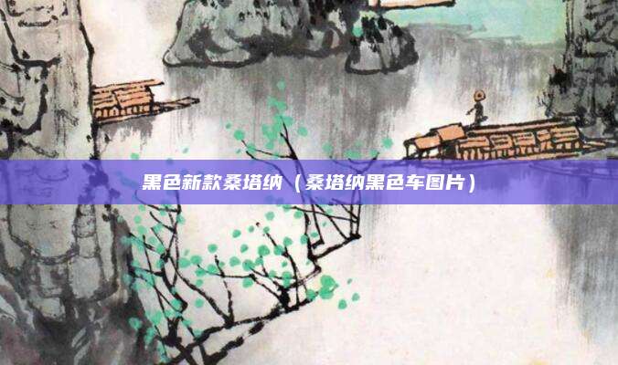 黑色新款桑塔纳(桑塔纳黑色车图片)