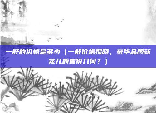 一舒的价格是多少(一舒价格揭晓,豪华品牌新宠儿的售价几何?)