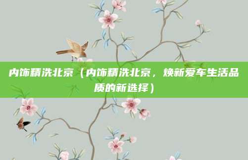 内饰精洗北京(内饰精洗北京,焕新爱车生活品质的新选择)