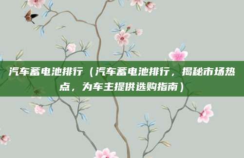 汽车蓄电池排行(汽车蓄电池排行,揭秘市场热点,为车主提供选购指南)