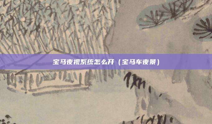 宝马夜视系统怎么开(宝马车夜景)