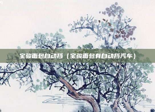 宝骏面包自动挡(宝骏面包有自动挡汽车)