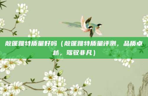 敞篷雅特质量好吗(敞篷雅特质量评测,品质卓越,驾驭非凡)