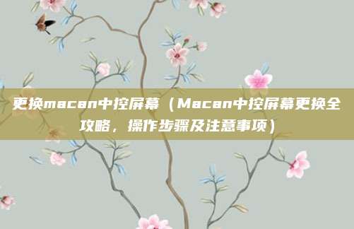 更换macan中控屏幕(Macan中控屏幕更换全攻略,操作步骤及注意事项)