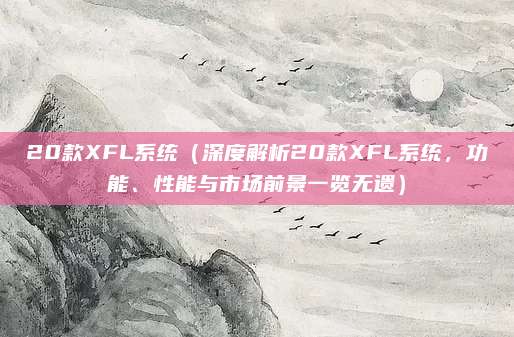 20款XFL系统（深度解析20款XFL系统，功能、性能与市场前景一览无遗）