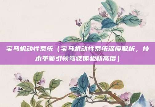 宝马机动性系统（宝马机动性系统深度解析，技术革新引领驾驶体验新高度）