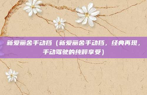 新爱丽舍手动挡(新爱丽舍手动挡,经典再现,手动驾驶的纯粹享受)