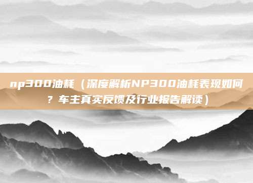 np300油耗(深度解析NP300油耗表现如何?车主真实反馈及行业报告解读)