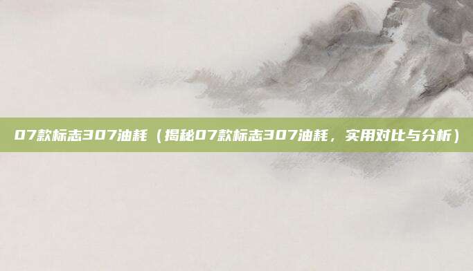 07款标志307油耗（揭秘07款标志307油耗，实用对比与分析）