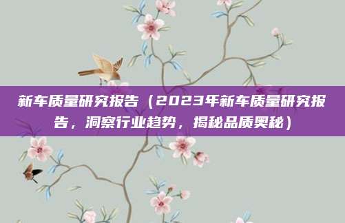新车质量研究报告(2023年新车质量研究报告,洞察行业趋势,揭秘品质奥秘)