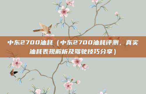 中东2700油耗(中东2700油耗评测,真实油耗表现解析及驾驶技巧分享)