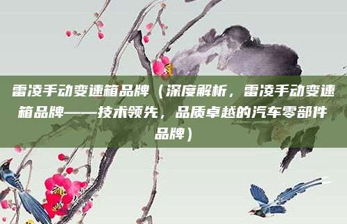 雷凌手动变速箱品牌(深度解析,雷凌手动变速箱品牌——技术领先,品质卓越的汽车零部件品牌)