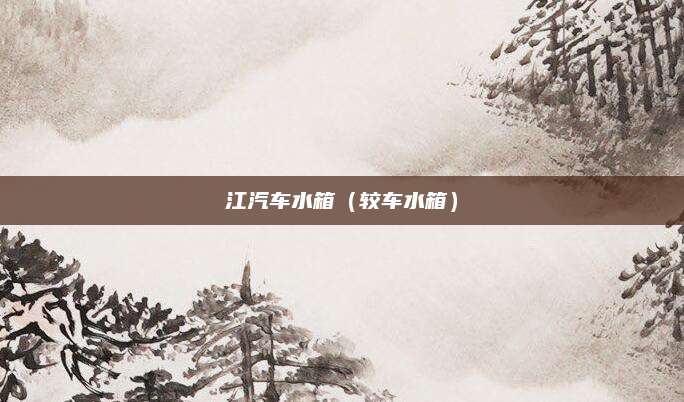 江汽车水箱(较车水箱)