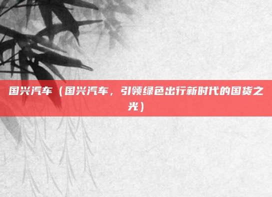 国兴汽车(国兴汽车,引领绿色出行新时代的国货之光)