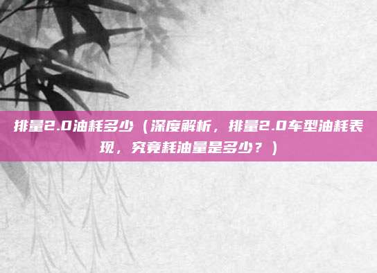 排量2.0油耗多少(深度解析,排量2.0车型油耗表现,究竟耗油量是多少?)