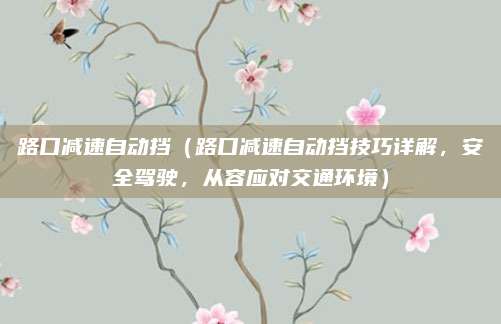 路口减速自动挡（路口减速自动挡技巧详解，安全驾驶，从容应对交通环境）