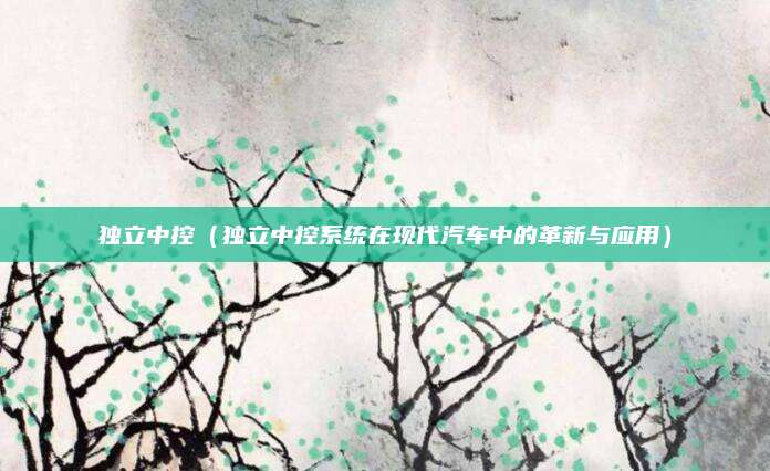 独立中控(独立中控系统在现代汽车中的革新与应用)