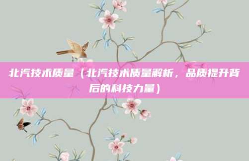 北汽技术质量（北汽技术质量解析，品质提升背后的科技力量）