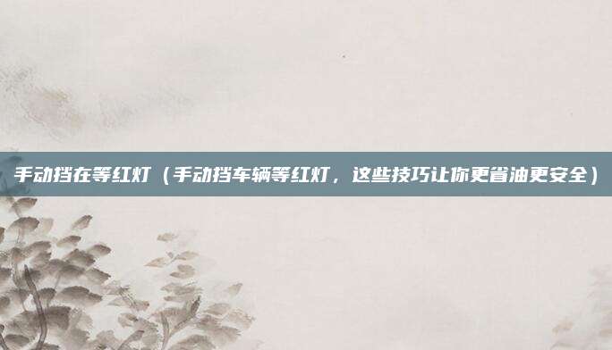手动挡在等红灯（手动挡车辆等红灯，这些技巧让你更省油更安全）
