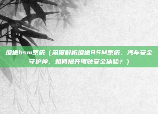坦途bsm系统(深度解析坦途BSM系统,汽车安全守护神,如何提升驾驶安全体验?)