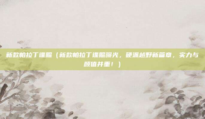 新款帕拉丁谍照(新款帕拉丁谍照曝光,硬派越野新篇章,实力与颜值并重!)