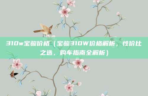 310w宝骏价格（宝骏310W价格解析，性价比之选，购车指南全解析）