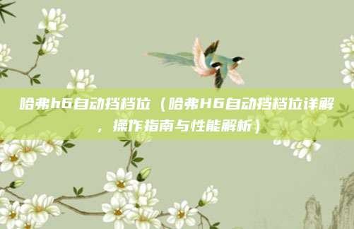 哈弗h6自动挡档位（哈弗H6自动挡档位详解，操作指南与性能解析）