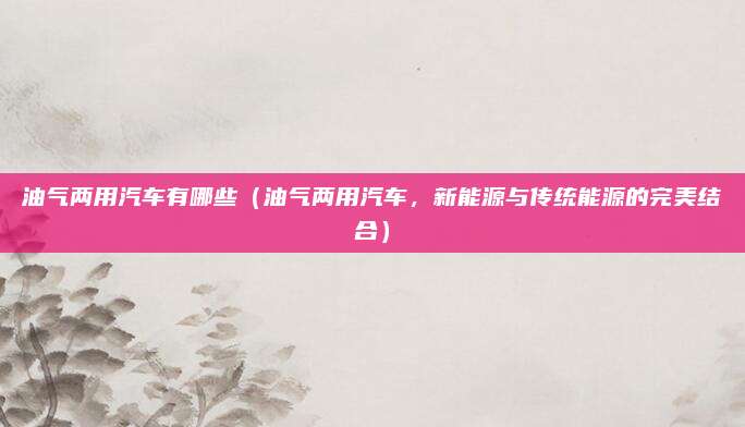 油气两用汽车有哪些(油气两用汽车,新能源与传统能源的完美结合)