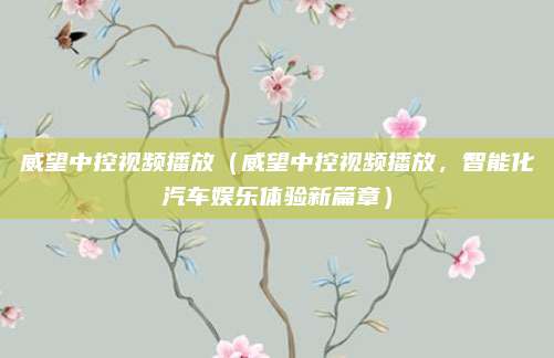 威望中控视频播放(威望中控视频播放,智能化汽车娱乐体验新篇章)