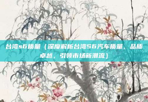 台湾s6质量(深度解析台湾S6汽车质量,品质卓越,引领市场新潮流)