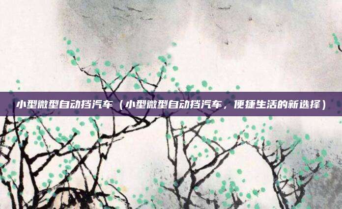 小型微型自动挡汽车(小型微型自动挡汽车,便捷生活的新选择)