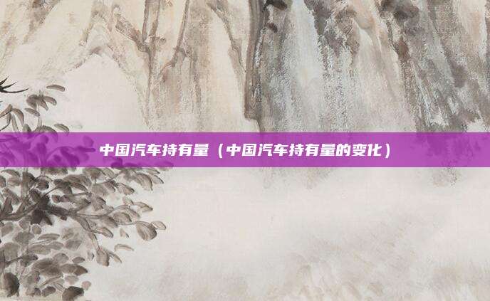 中国汽车持有量(中国汽车持有量的变化)