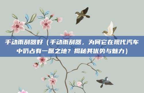 手动雨刮器好(手动雨刮器,为何它在现代汽车中仍占有一席之地?揭秘其优势与魅力)