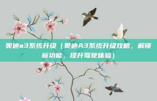 奥迪a3系统升级（奥迪A3系统升级攻略，解锁新功能，提升驾驶体验）